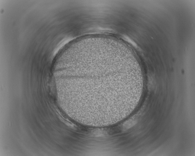 X0000060791259200512082115