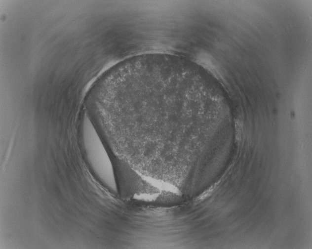 X0000060791260200512082115