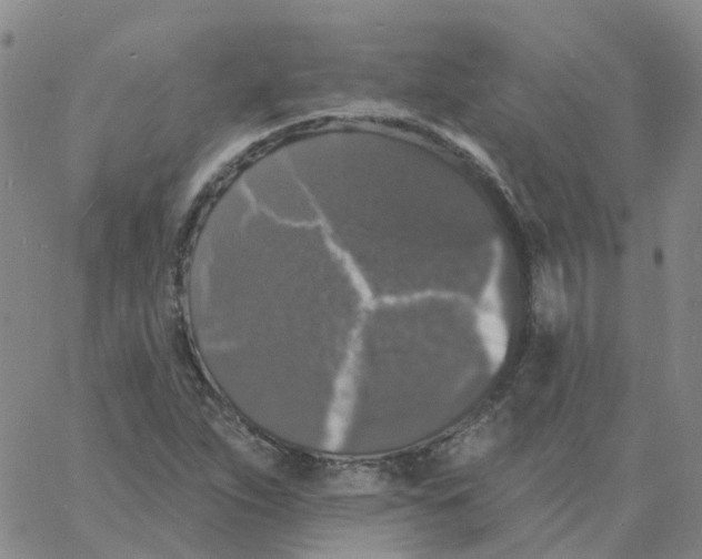 X0000060791263200512082115