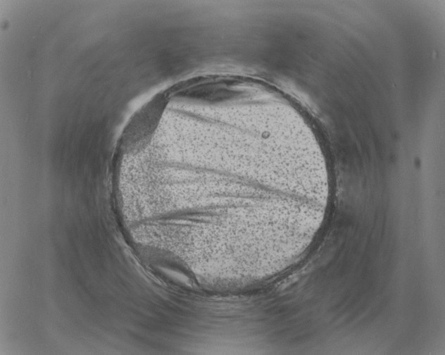 X0000060791264200512082115