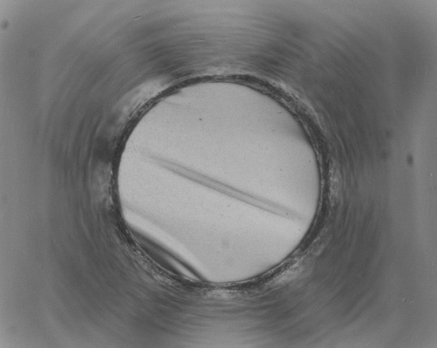 X0000060791265200512082115