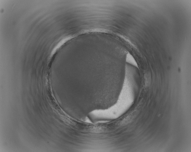 X0000060791266200512082115