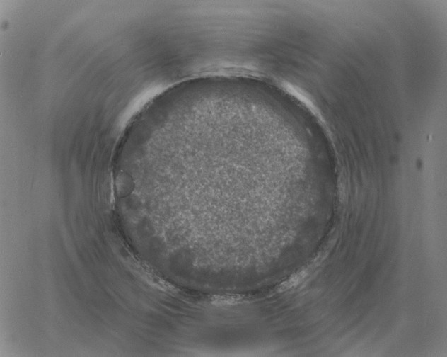 X0000060791267200512082115