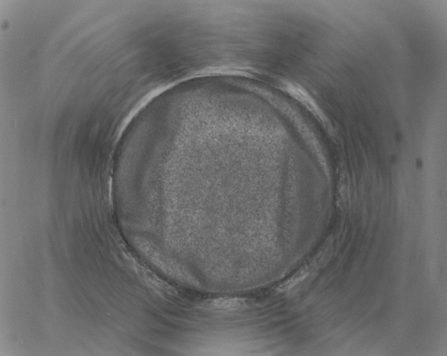 X0000060791268200512082115