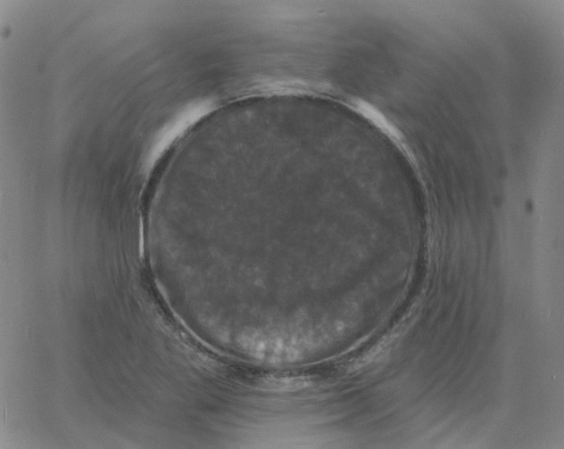 X0000060791269200512082115