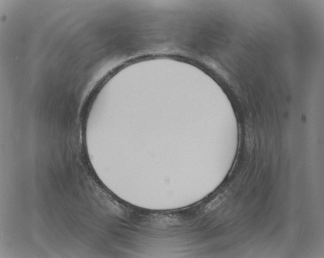 X0000060791270200512082115