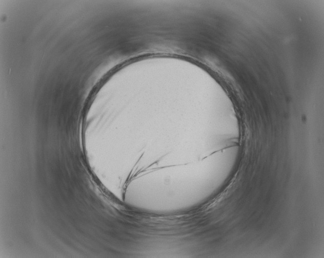 X0000060791272200512082115