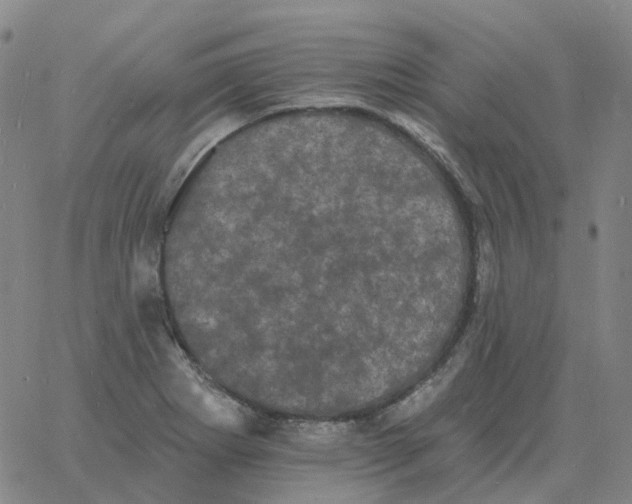 X0000060791273200512082115