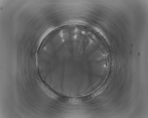 X0000060791275200512082115