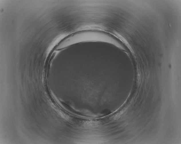 X0000060791277200512082115