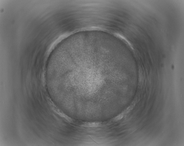 X0000060791278200512082115