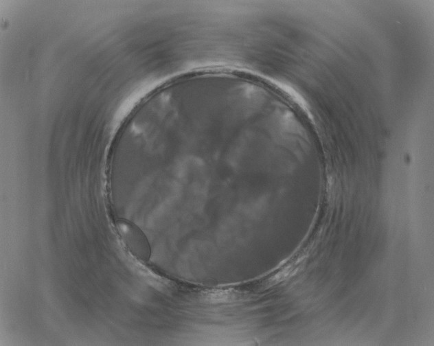 X0000060791279200512082115