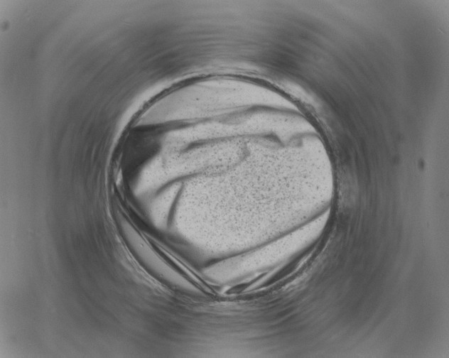 X0000060791280200512082115