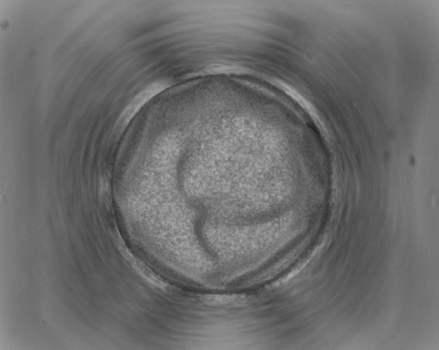 X0000060791281200512082115