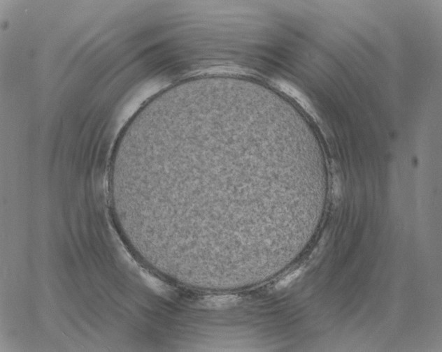 X0000060791282200512082115