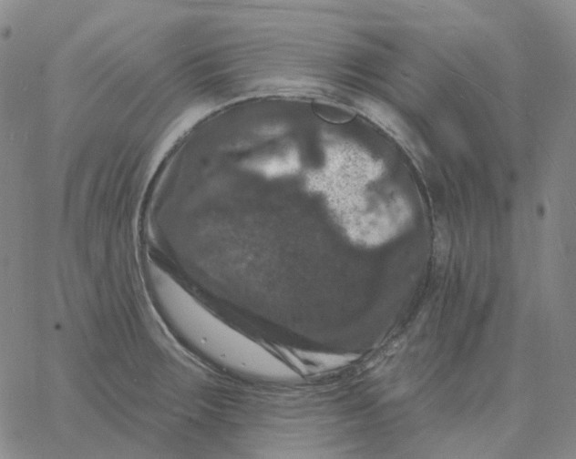 X0000060791283200512082115