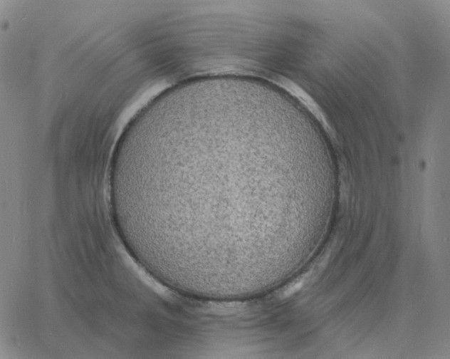 X0000060791285200512082115