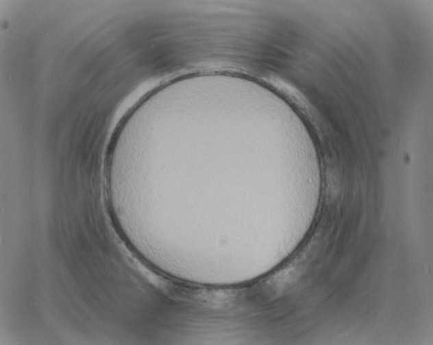 X0000060791286200512082115