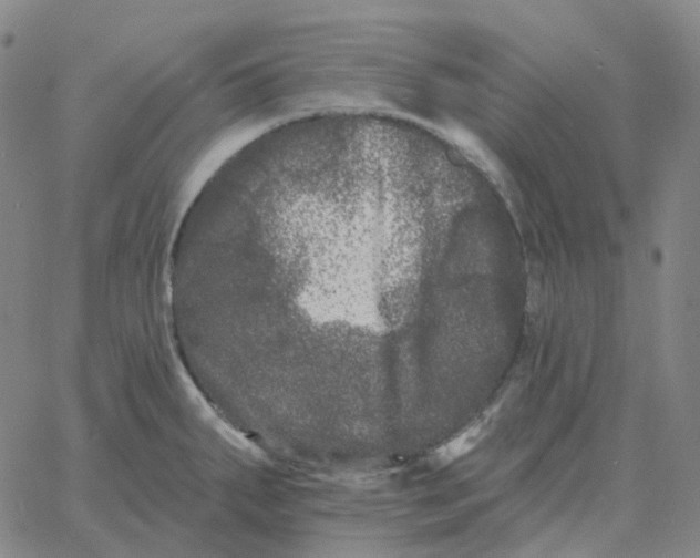 X0000060791287200512082115