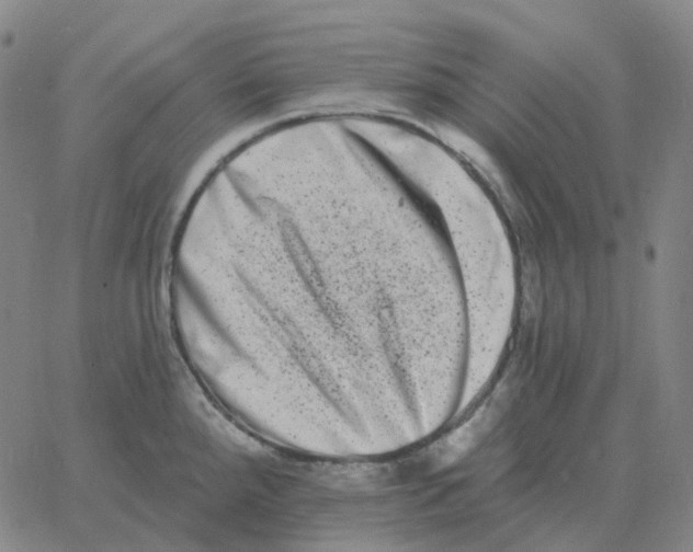 X0000060791288200512082115