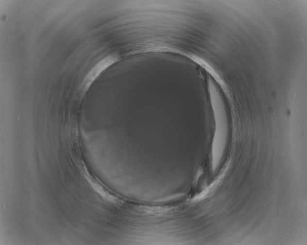 X0000060791289200512082115