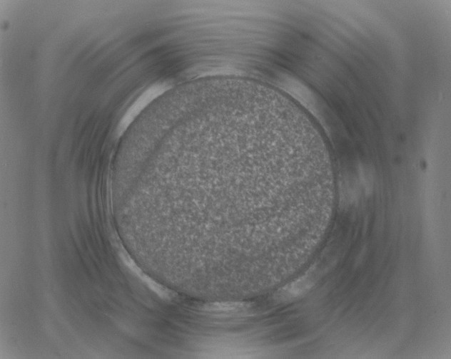 X0000060791290200512082115