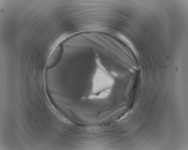 X0000060791291200512082115