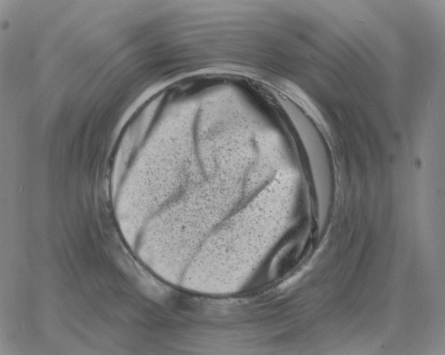 X0000060791292200512082114