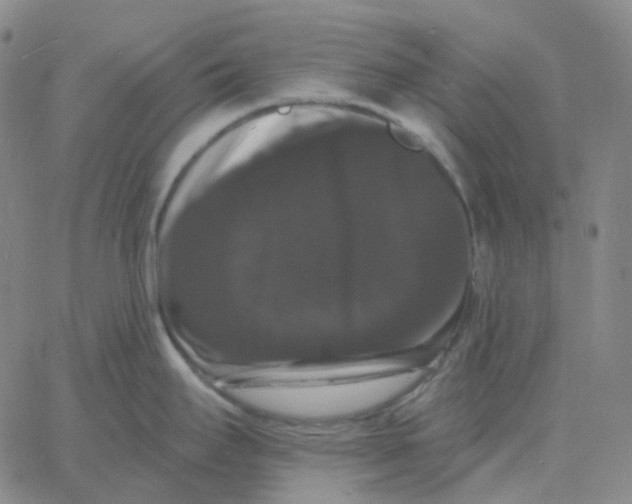 X0000060791295200512082114