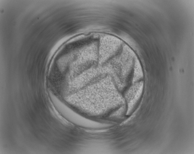 X0000060791296200512082114