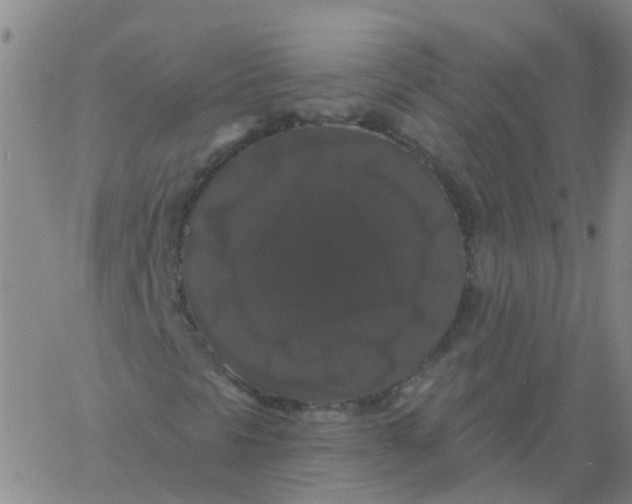 X0000060791297200512082114