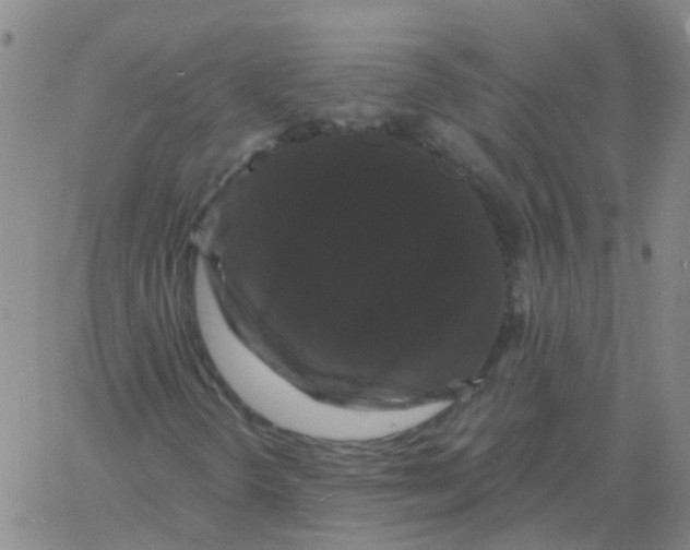 X0000060791298200512082114