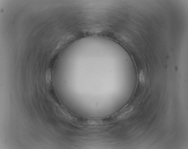 X0000060791299200512082114