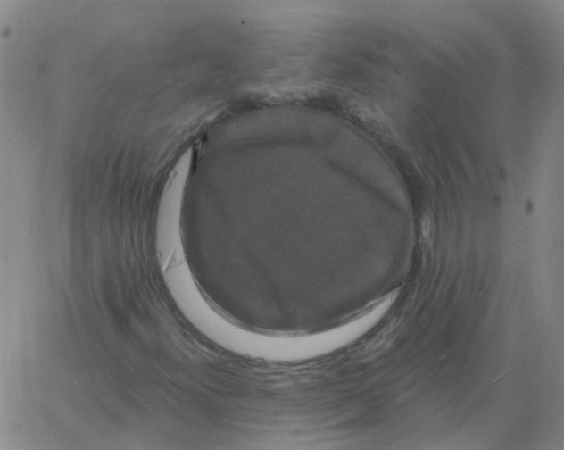 X0000060791300200512082114