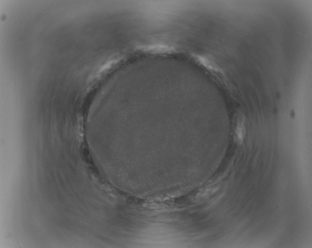 X0000060791301200512082114