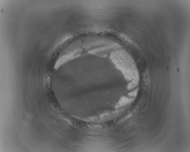 X0000060791302200512082114