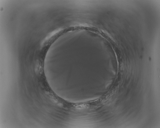 X0000060791303200512082114