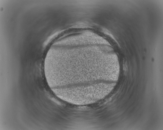 X0000060791304200512082114