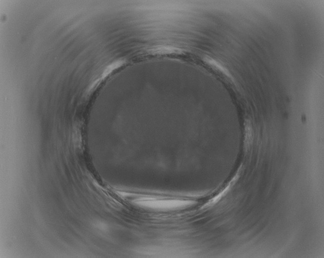 X0000060791305200512082114