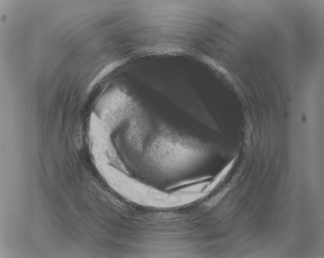 X0000060791306200512082114