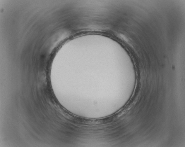 X0000060791307200512082114