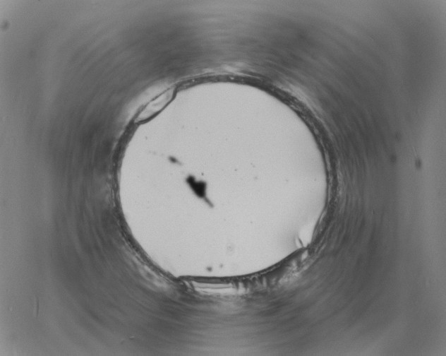 X0000060791308200512082114