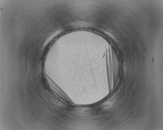 X0000060791309200512082114