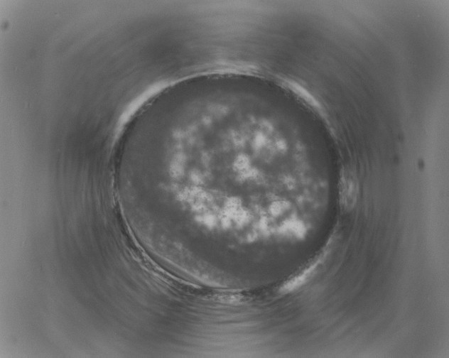 X0000060791310200512082114