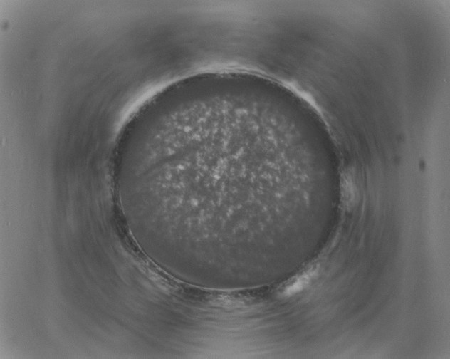 X0000060791311200512082114