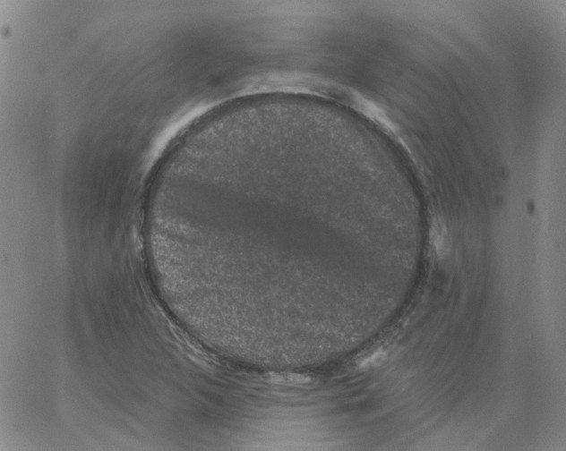 X0000060791312200512082114