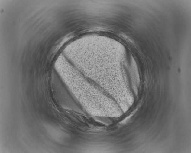 X0000060791313200512082114