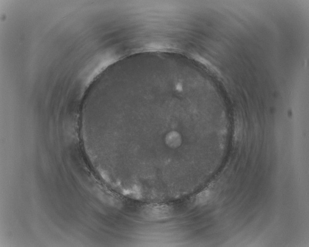 X0000060791314200512082114