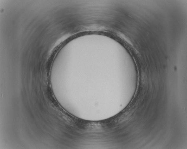 X0000060791315200512082114