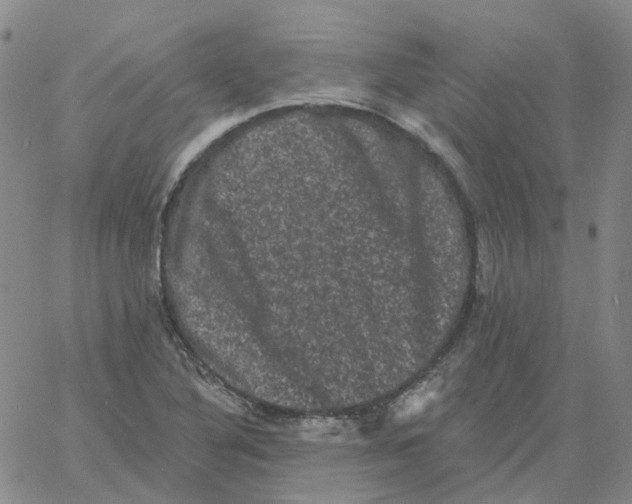 X0000060791316200512082114